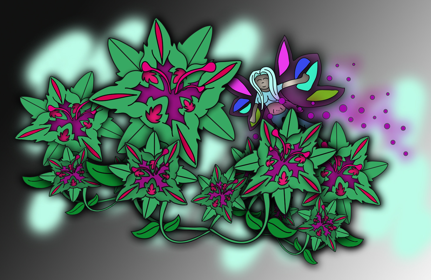 Illustrator — 5